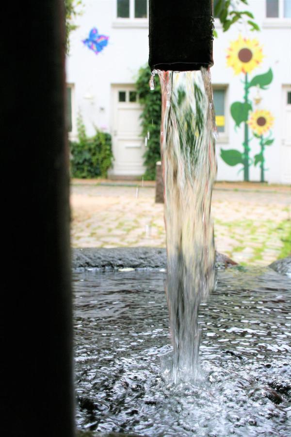 Zentrale Ferienwohnung Anker Im Sonnenblumenhaus Flensburg Buitenkant foto